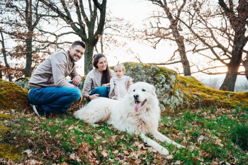 mylittlesweetphotographie-famille-